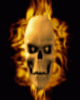 anim176220mobildesign.atw.hu_0119.gif